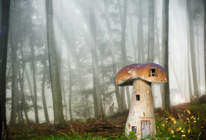 童话森林中的蘑菇小屋幻想世界
