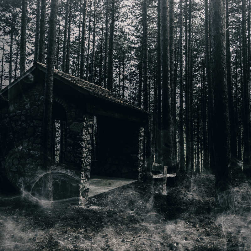 恐怖的森林小屋