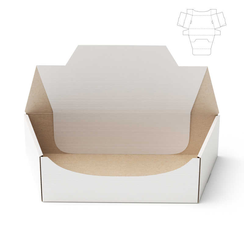 带有设计模板的包装盒