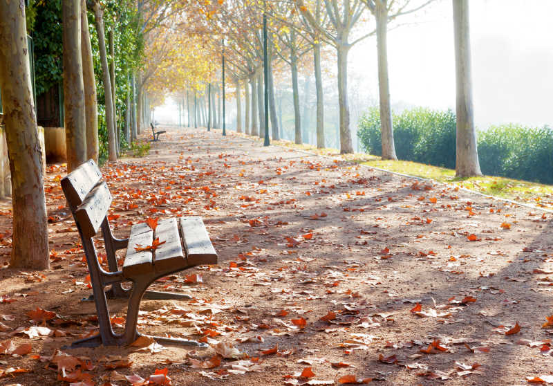 秋季公园长凳
