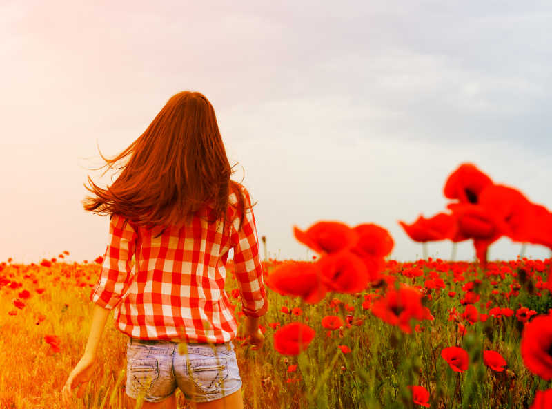 年轻貌美的女子在红色花海中