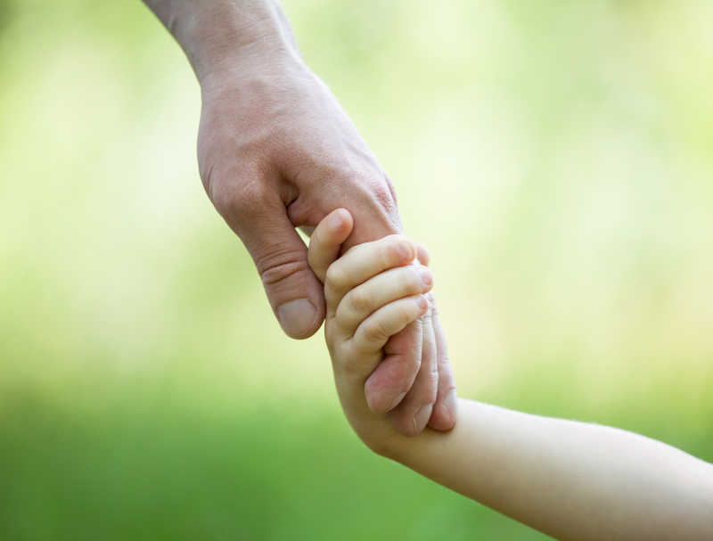 轻绿色背景下的男人和孩子握在一起的手