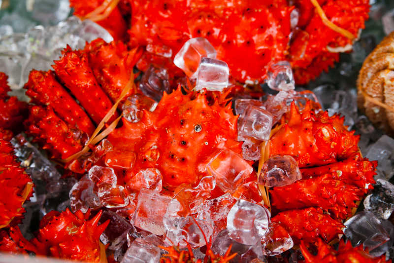 冰块上的红色帝王蟹