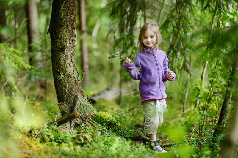 Гуляла девочка в лесу. Маленькая девочка гуляет по лесу. Девочка гуляет в лесу. Маленькая девочка гуляет в лесу. Картинки куклы прогулка по лесу.