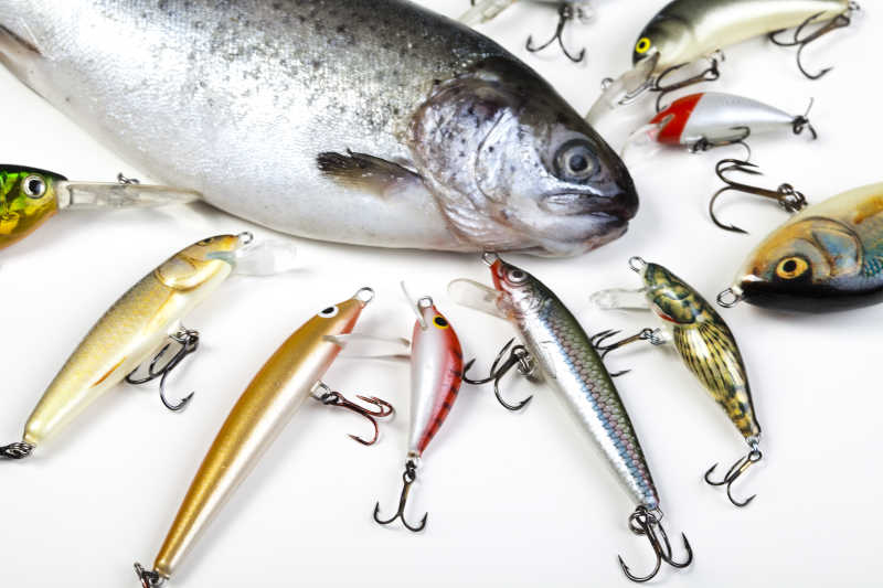 钓到的鱼和鱼钩