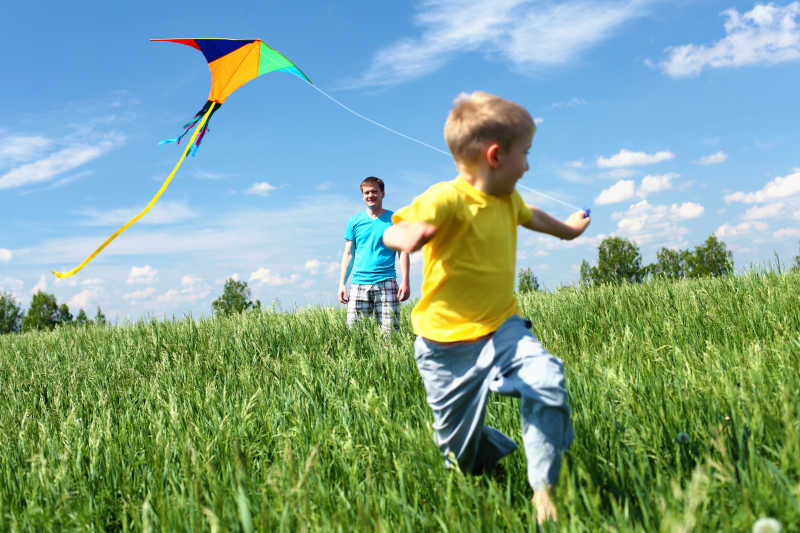 草地上放风筝的年轻父子