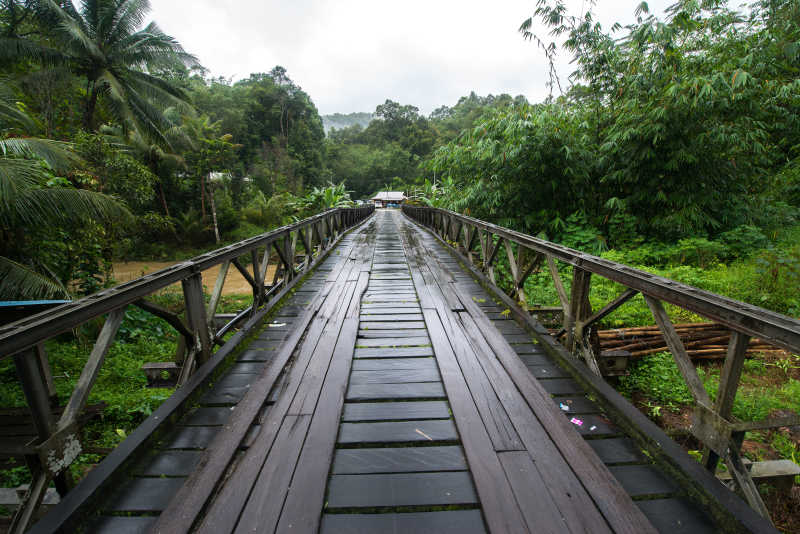 婆罗洲丛林木制桥面