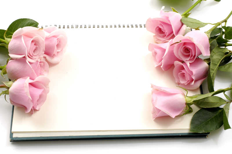 白色背景下便条本上的粉色的玫瑰花