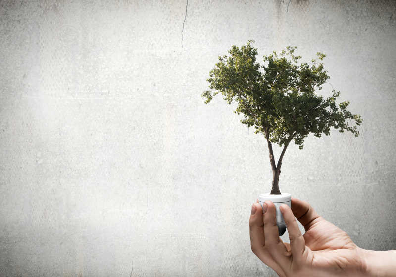 白色背景下手持灯泡长出绿植带来的环保概念