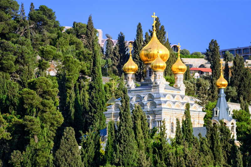 蓝天下绿色植物包围的玛丽亚马格达莱纳教堂