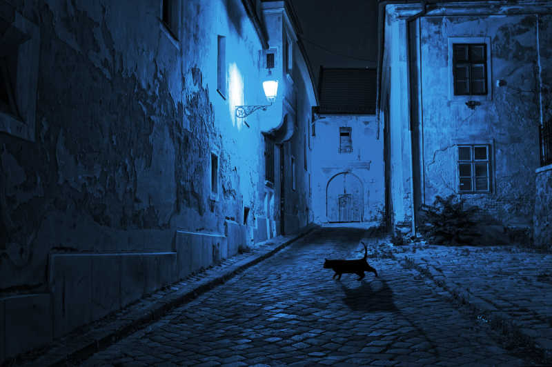 空无一人的街道上有一只猫图片 黑猫在夜晚在空无一人的街道素材 高清图片 摄影照片 寻图免费打包下载