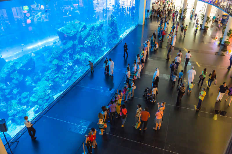 联合酋长国迪拜购物中心水族馆