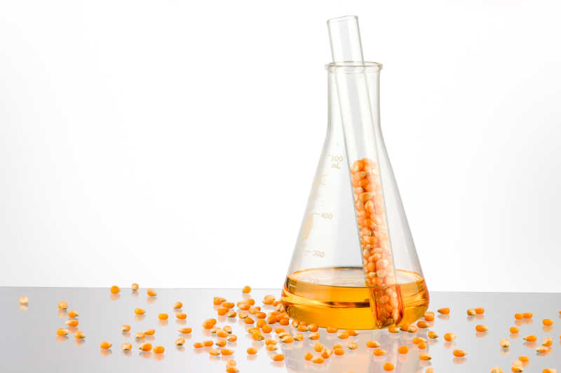 试管中的生物燃料和玉米粒