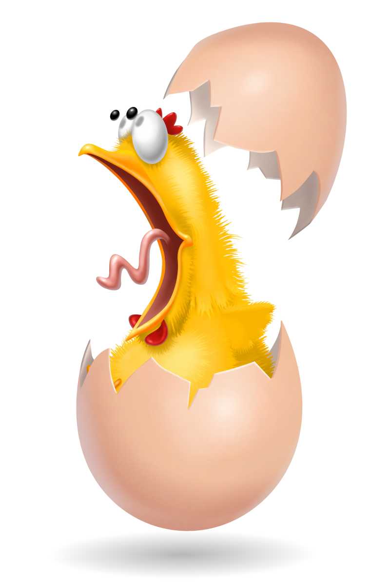 白色背景下尖叫的从蛋壳里出生的卡通小鸡