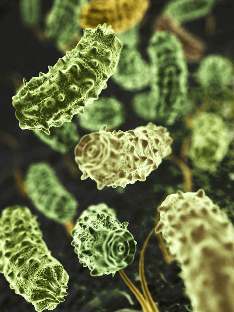 微生物病毒3D渲染