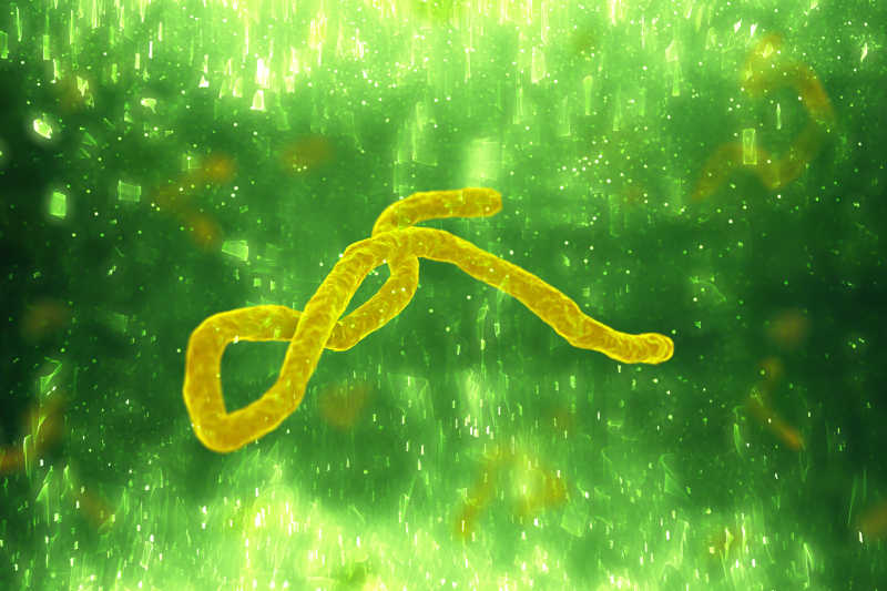 绿色背景的埃博拉病毒