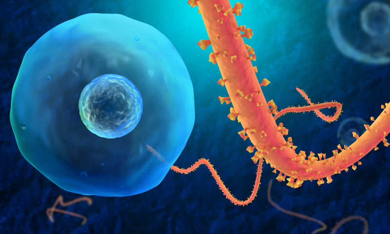 埃博拉病毒3D抽象概念
