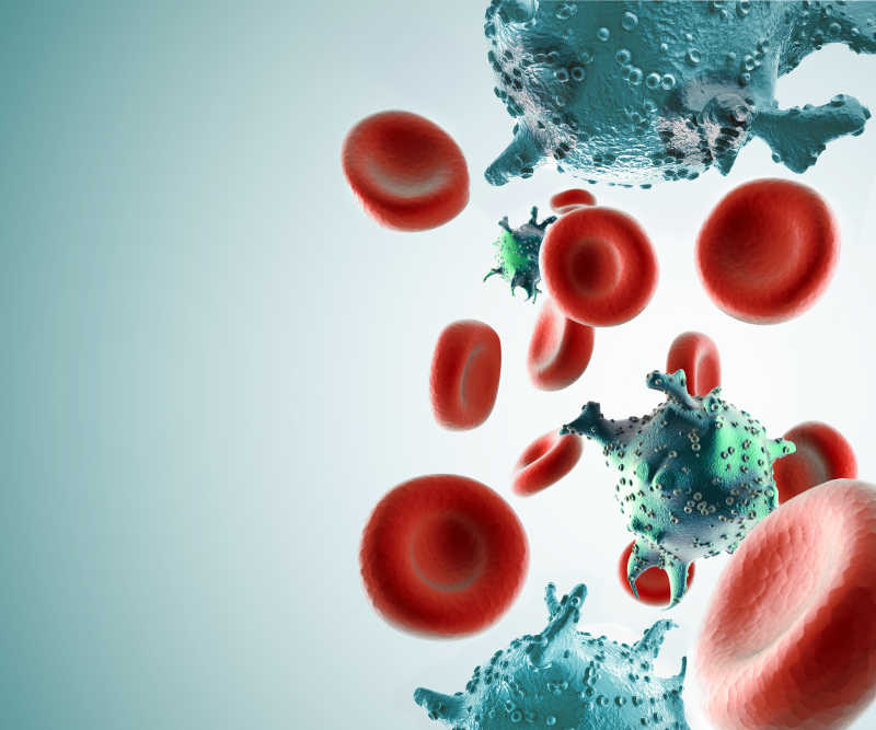 血红细胞和病毒