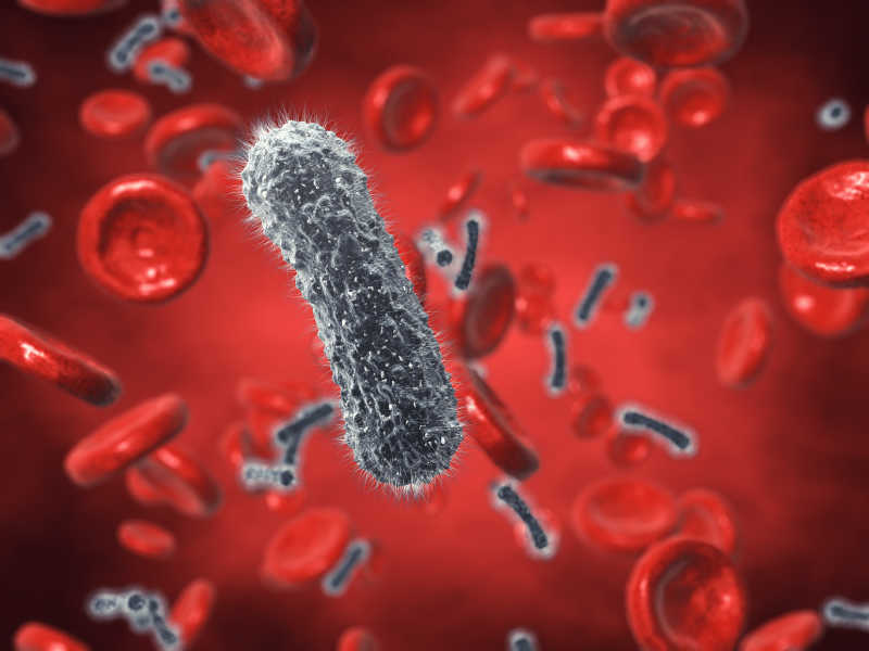 细菌病毒和红血球