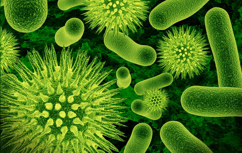 绿色杆状和球状细菌