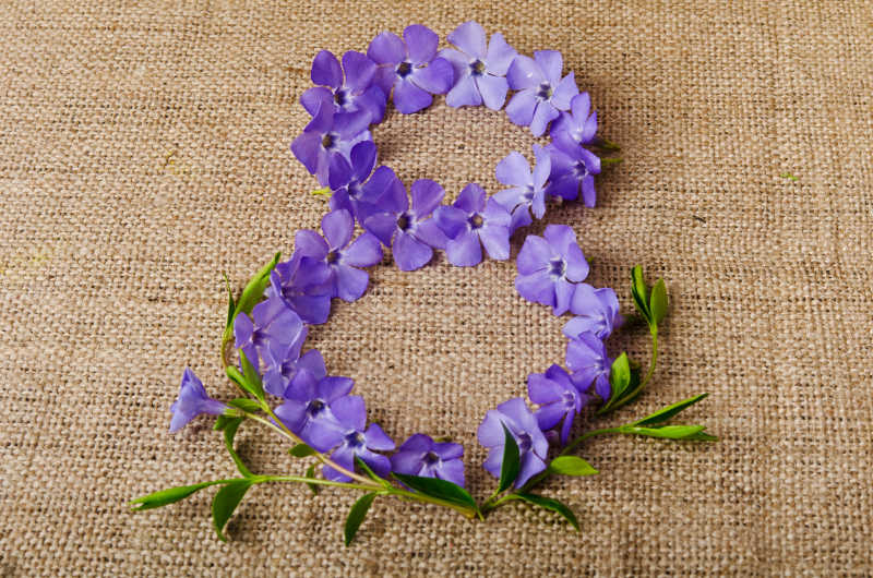 粗麻布背景上紫色花瓣摆成8的形状