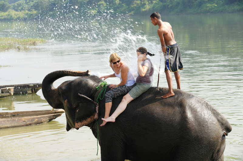 一家人在河里给大象洗澡