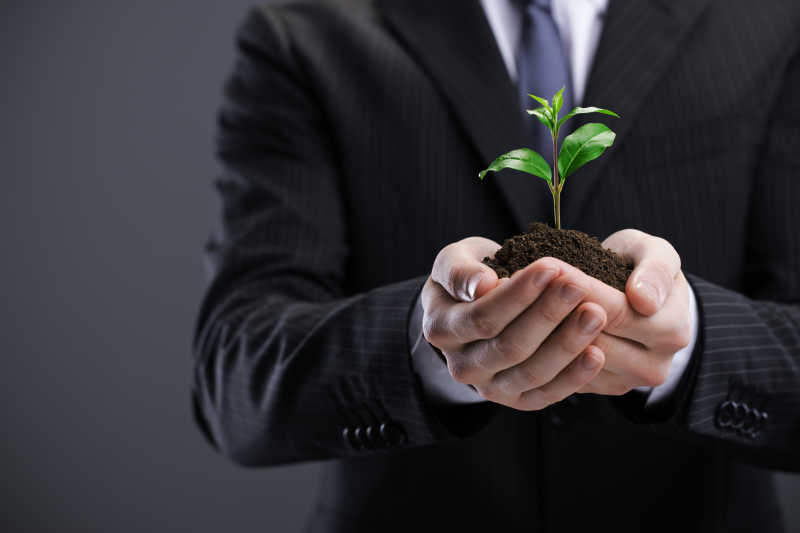 手里拿着树苗的商人