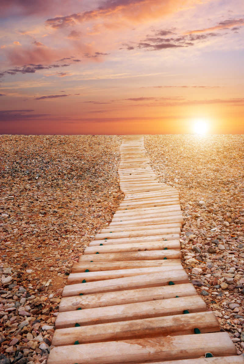 秋季阳光下的小径