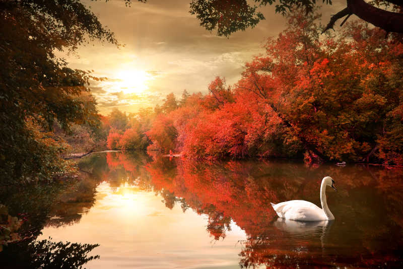 自然风景图片 秋日里黄昏下的美丽自然湖泊风景素材 高清图片 摄影照片 寻图免费打包下载