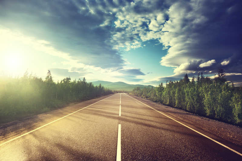 两排树木之间的道路