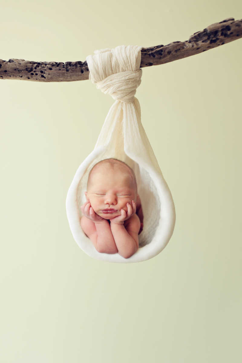 悬挂在树枝上的纱布里睡着的新生婴儿