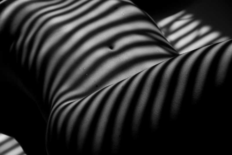 条纹阴影下的人体艺术