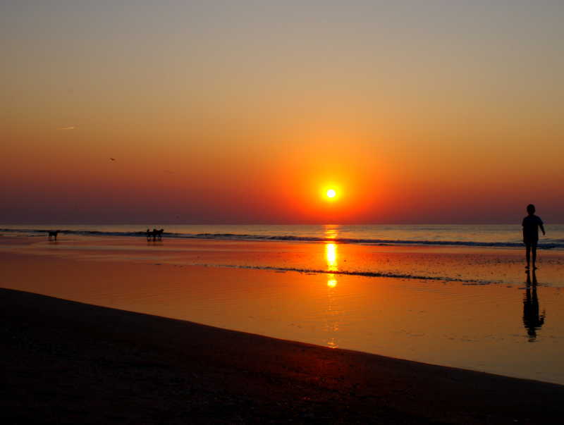 日落时分海边沙滩上的剪影