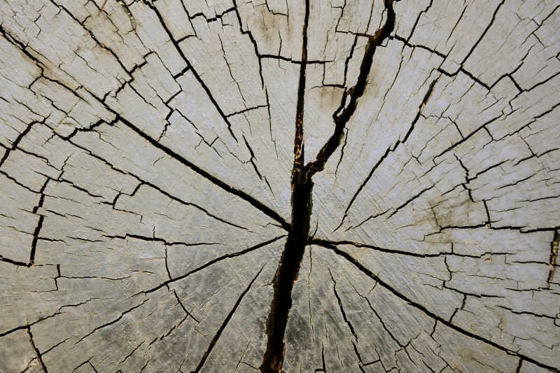 木头的裂纹