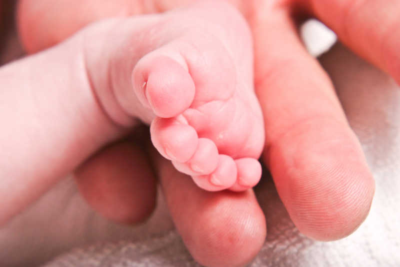 大人手上婴儿的脚