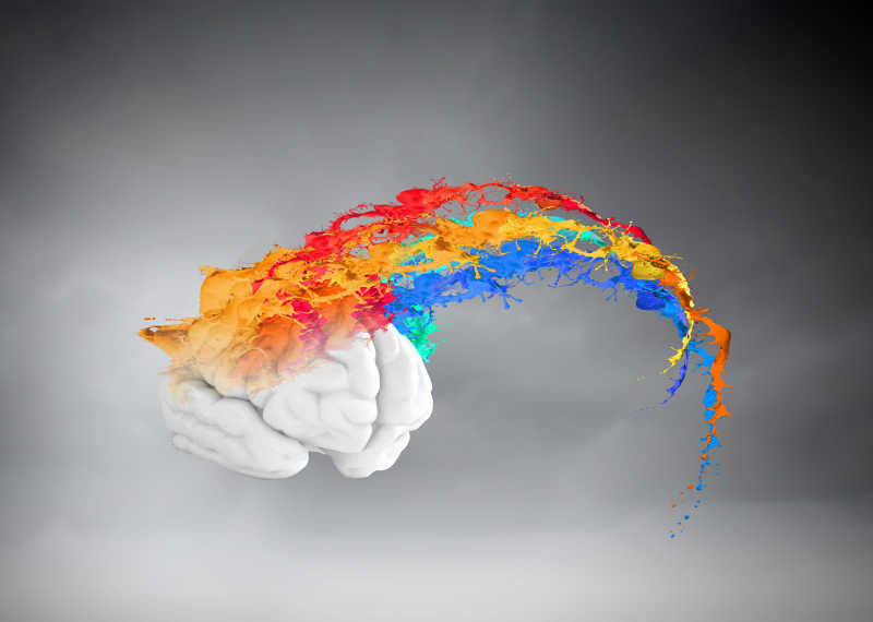 大脑上的彩色油漆