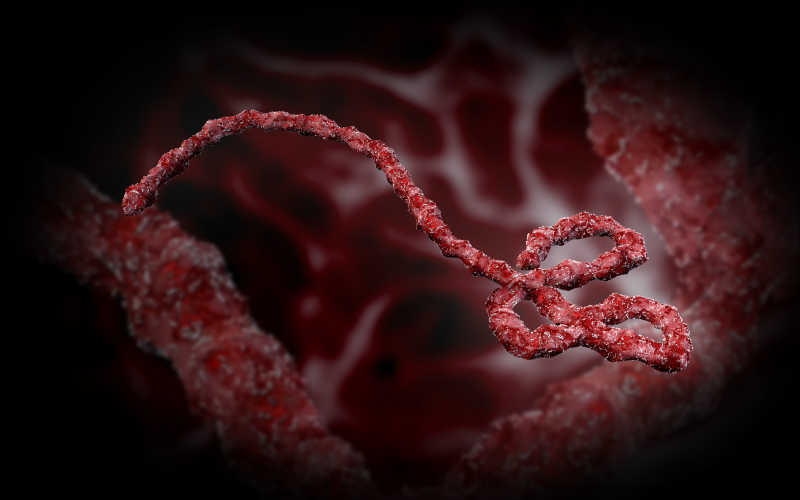 埃博拉病毒的图片大全图片