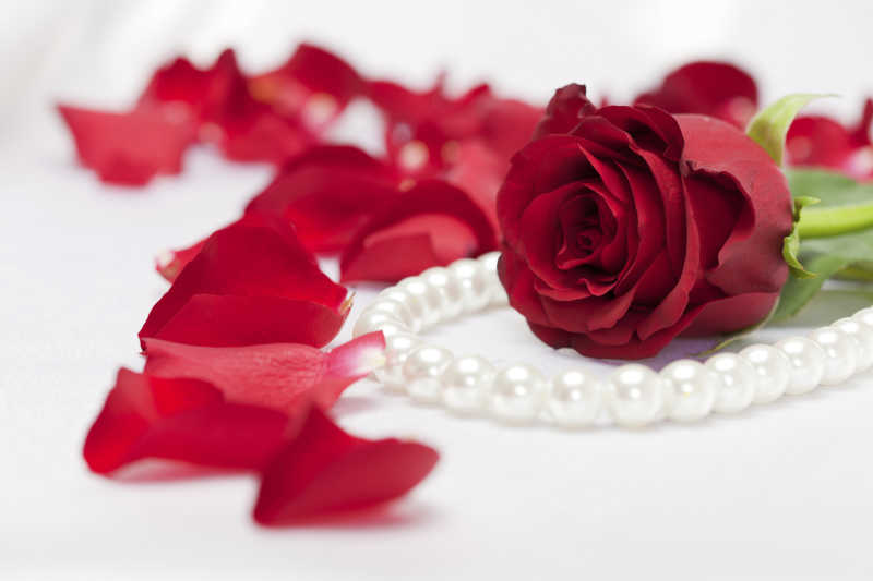 红玫瑰花和珍珠项链