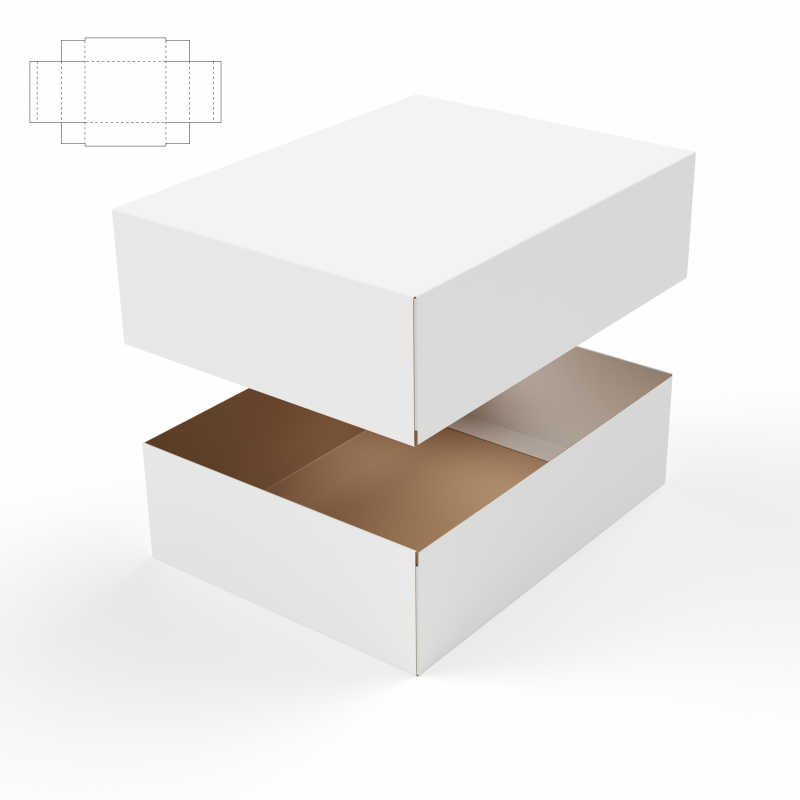白色背景中带盒盖的纸盒