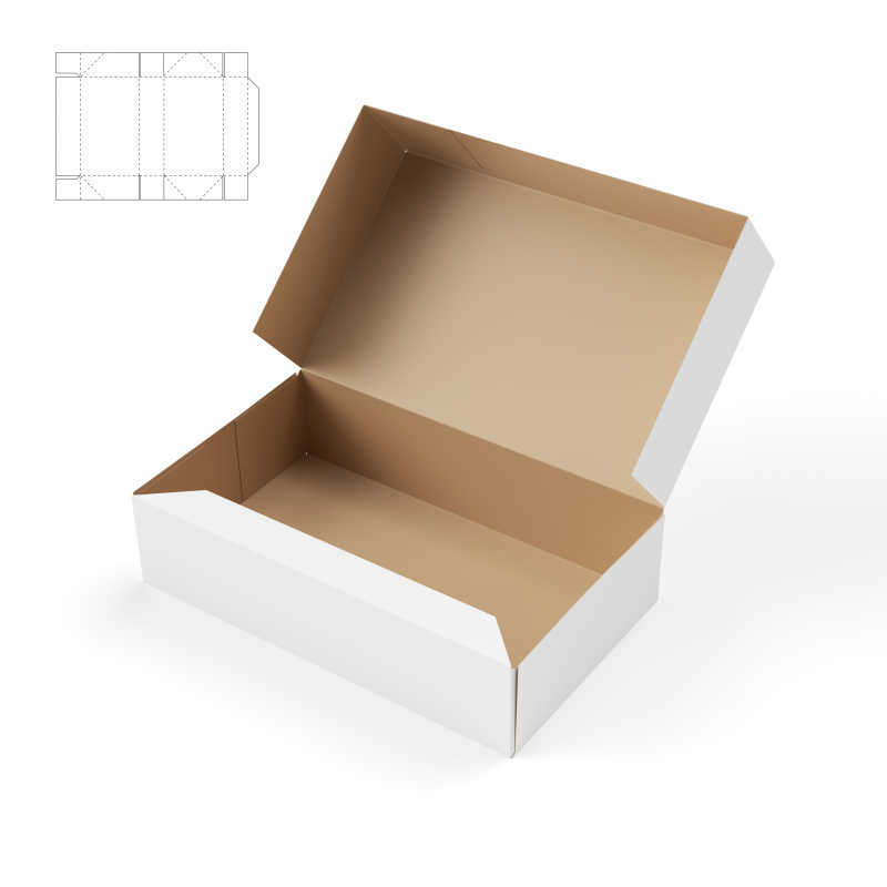 白色背景下的纸板箱