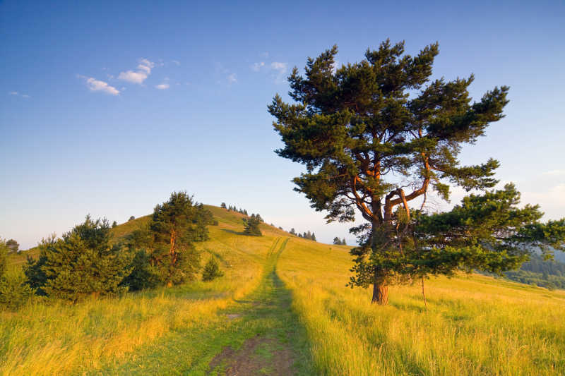 美丽的自然景观