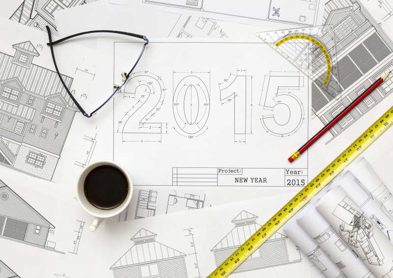 2015年的蓝图