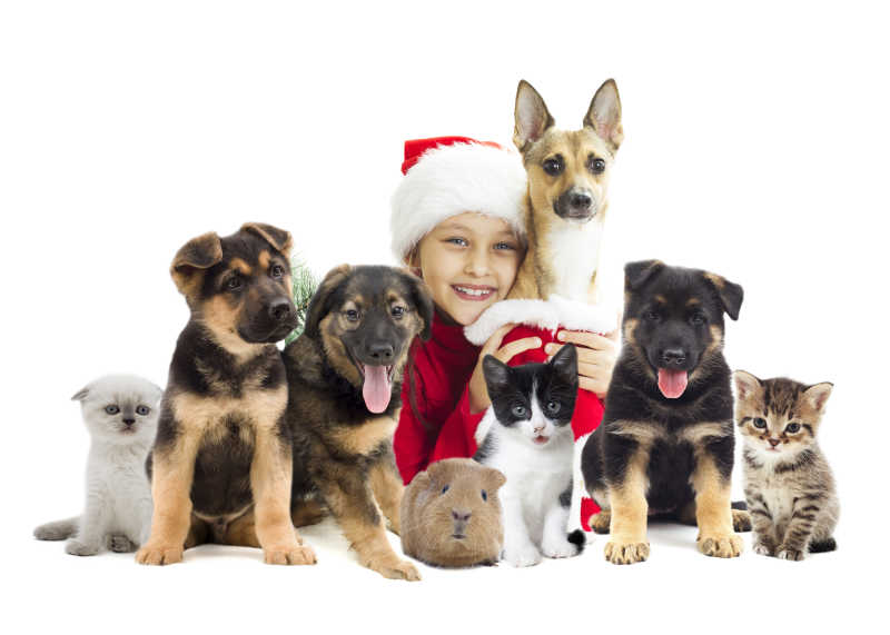 戴着圣诞帽的小女孩和宠物狗
