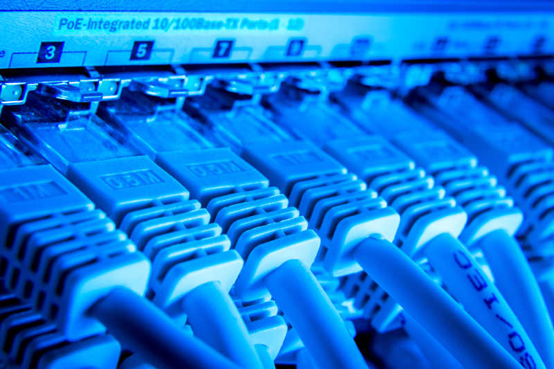 蓝色的网络电缆并排插在数据接口上