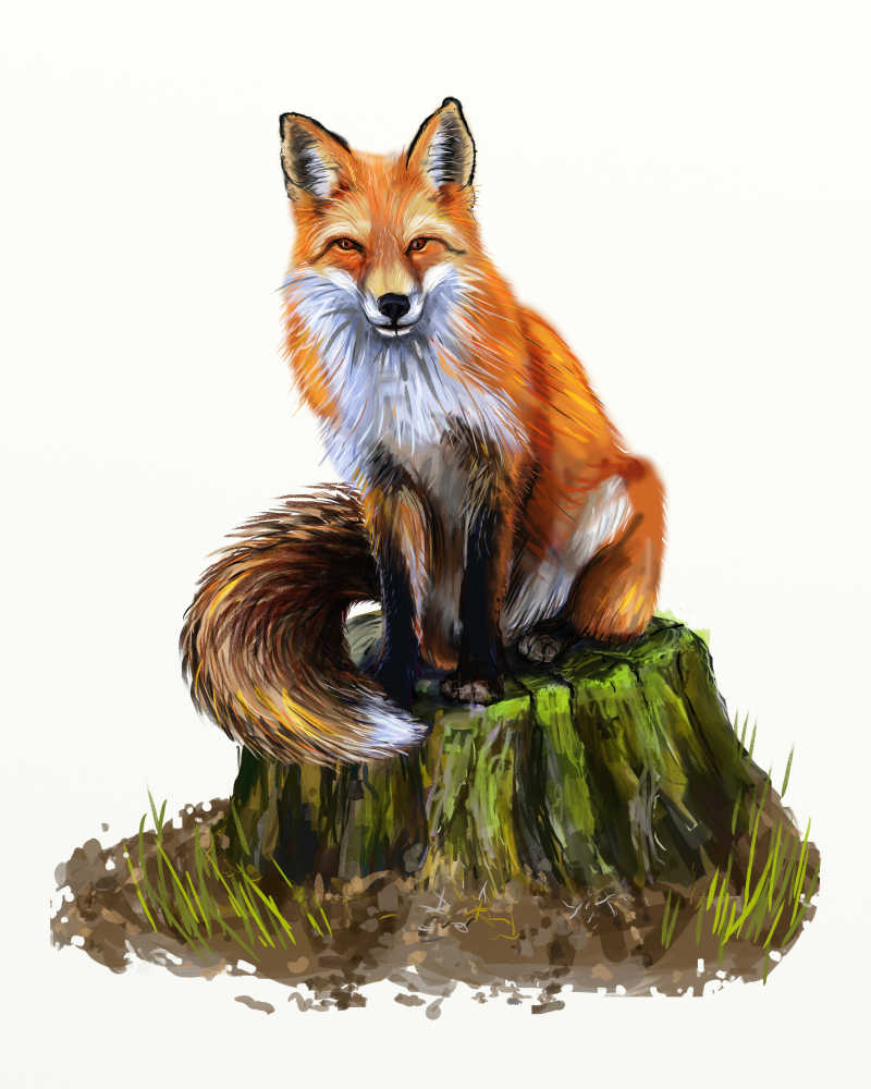 油画狐狸