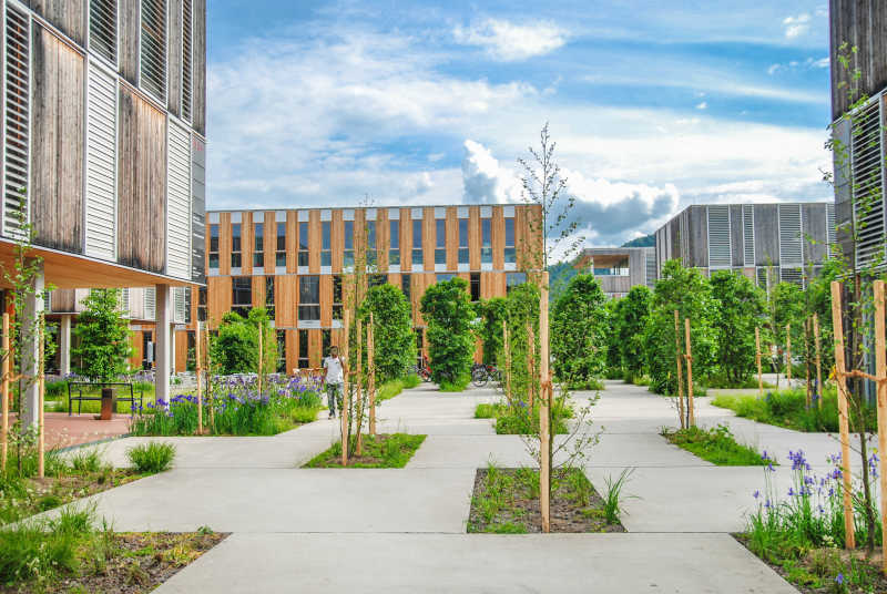 美丽的大学校园