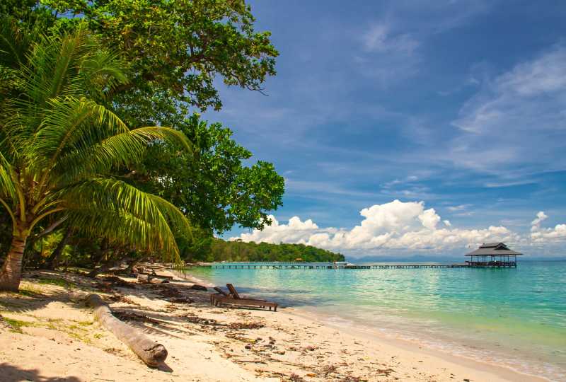 婆罗洲沙滩上的棕榈树和美丽的海景