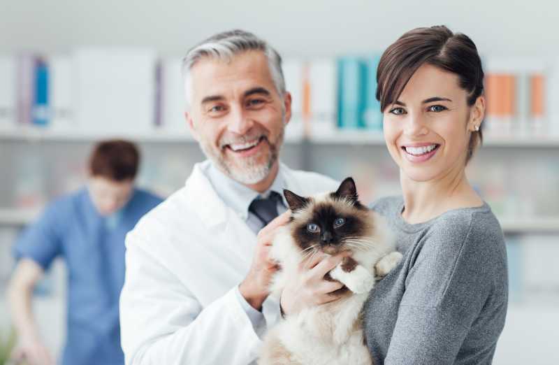 微笑的妇女请兽医为她的猫进行检查