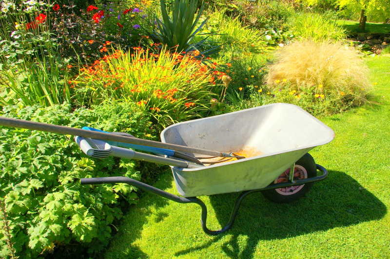 美丽的园艺设计和独轮车