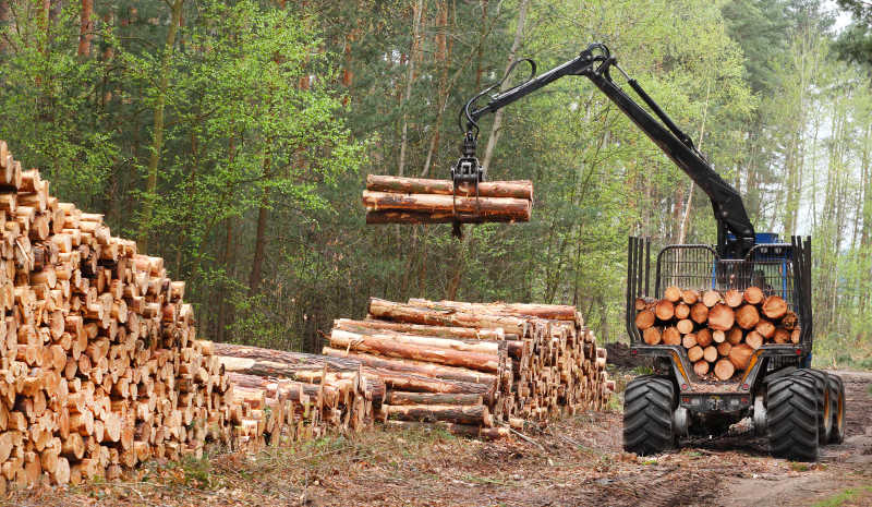 伐木行业